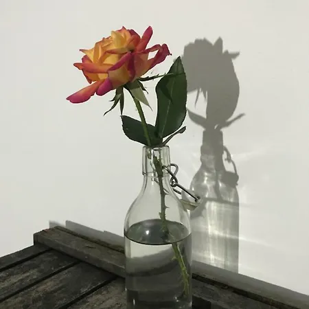 Loft Parisio * Bologna